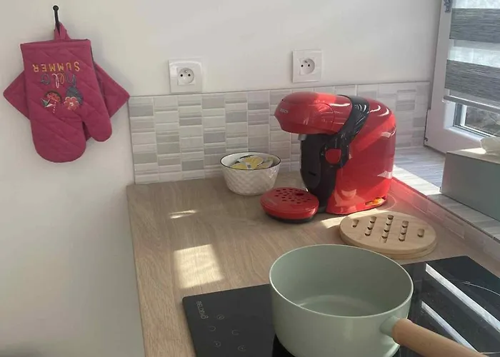 La Petite Bulle Courtisols