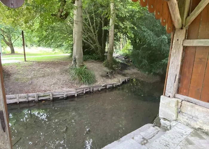 La Petite Bulle Courtisols